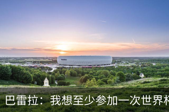 巴雷拉：我想至少参加一次世界杯；可以想象在国米退役